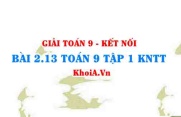 Bài 2.13 SGK Toán 9 tập 1 Kết nối tri thức